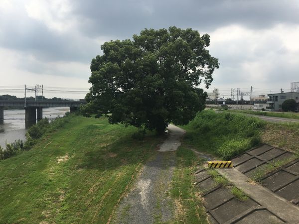 運転免許証を更新した